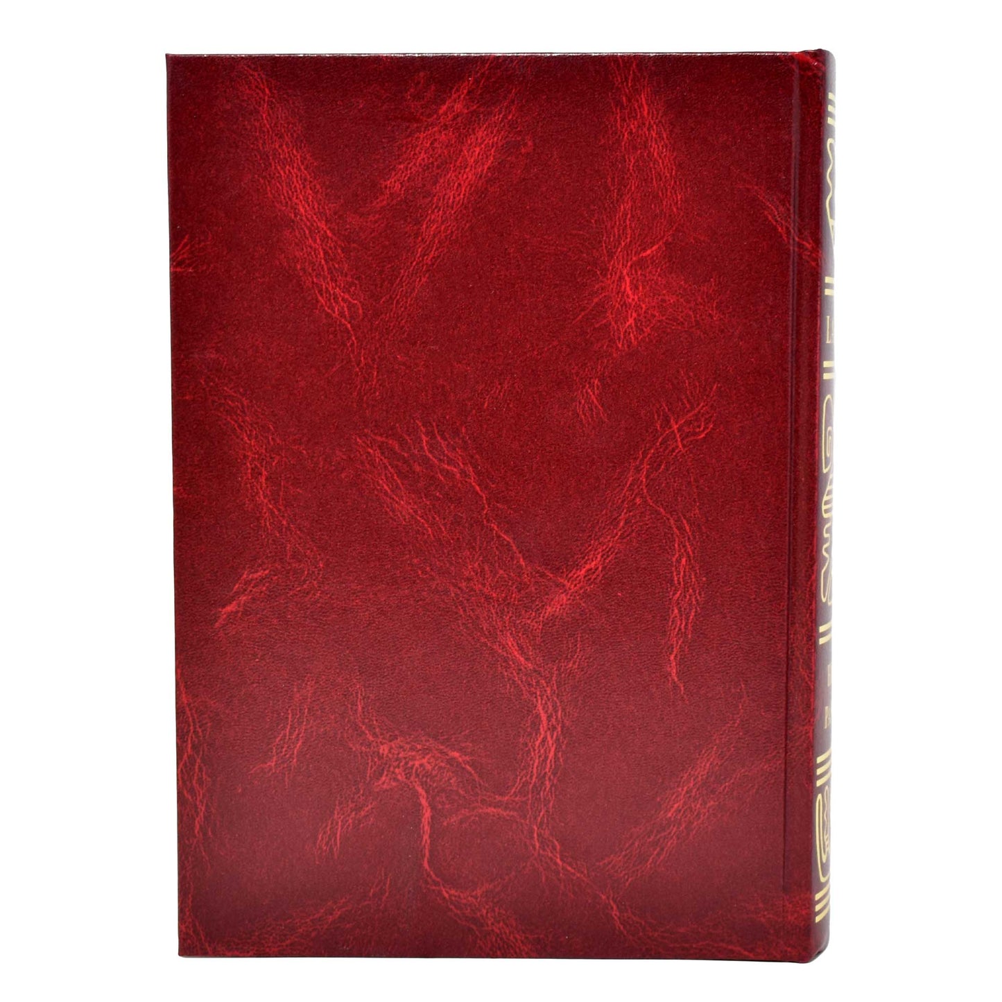 La Biblia Latinoamerica Red - Sin Indice image 3