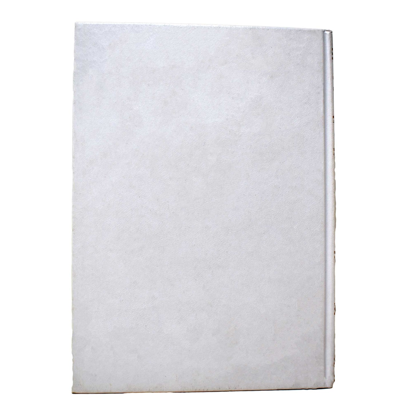 La Biblia Latinoamerica White Large - Sin Indice image 3