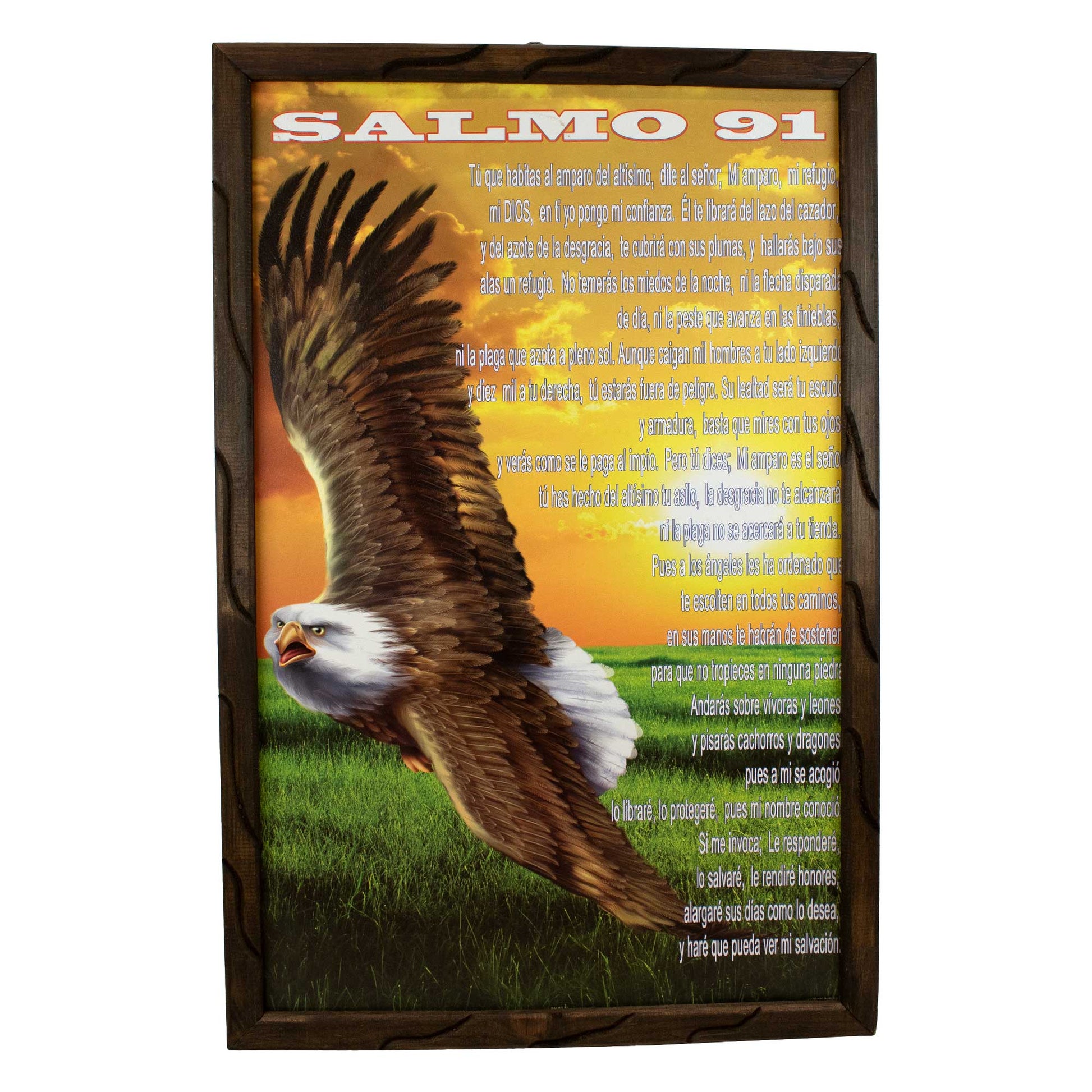 Mrcjsales - Psalm 91 – Rustic Frame, Multiple Sizes, Mexican Art, Symbolizes Hope, Love, Strength. Perfect Home Decor & Unique Gift! - L | 36"x24" image