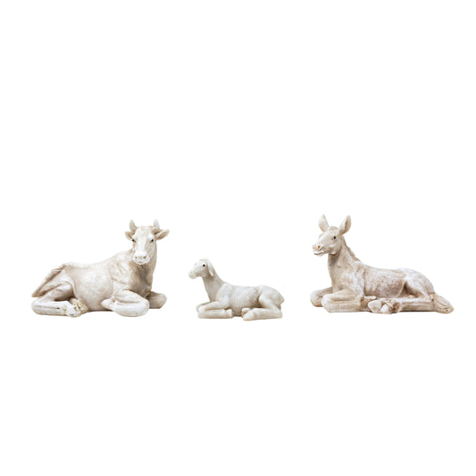 MrcjSales Nativity Set | High-Quality Resin | 12-Piece Masterpiece | Meaningful Christmas Tradition | Multipurpose Set | Exceptional Detail Design | Ideal for Devotion and Reflection Nativity Set #9 image 5
